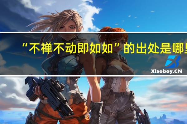 “不禅不动即如如”的出处是哪里