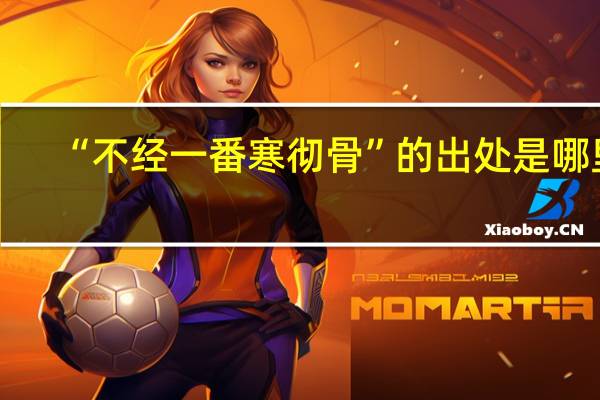 “不经一番寒彻骨”的出处是哪里