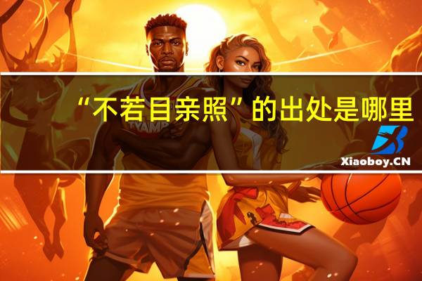 “不若目亲照”的出处是哪里