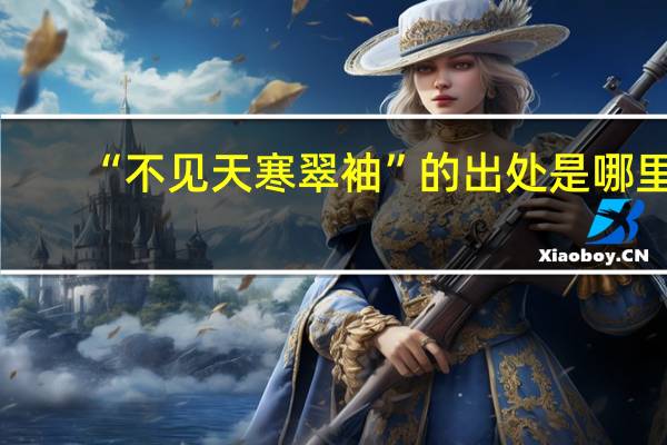 “不见天寒翠袖”的出处是哪里
