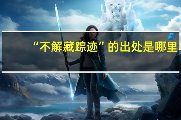 “不解藏踪迹”的出处是哪里