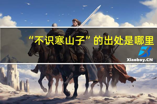“不识寒山子”的出处是哪里