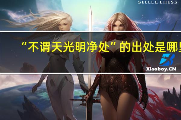 “不谓天光明净处”的出处是哪里