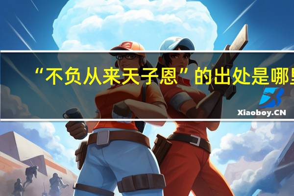 “不负从来天子恩”的出处是哪里
