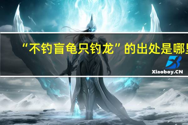 “不钓盲龟只钓龙”的出处是哪里