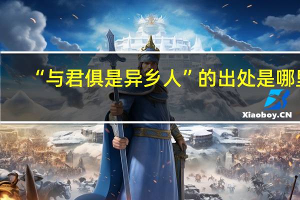 “与君俱是异乡人”的出处是哪里