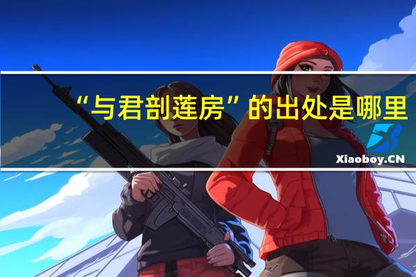“与君剖莲房”的出处是哪里