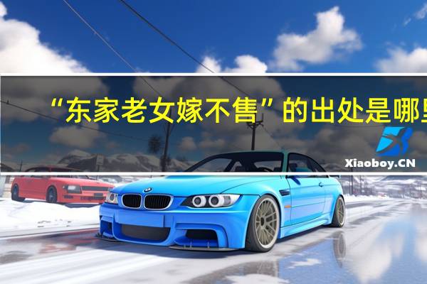 “东家老女嫁不售”的出处是哪里