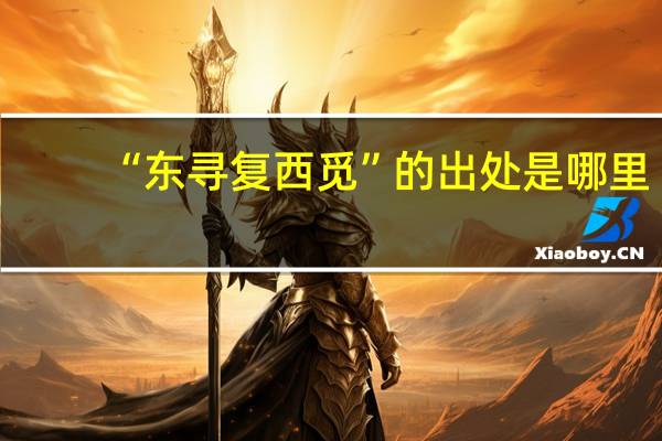 “东寻复西觅”的出处是哪里
