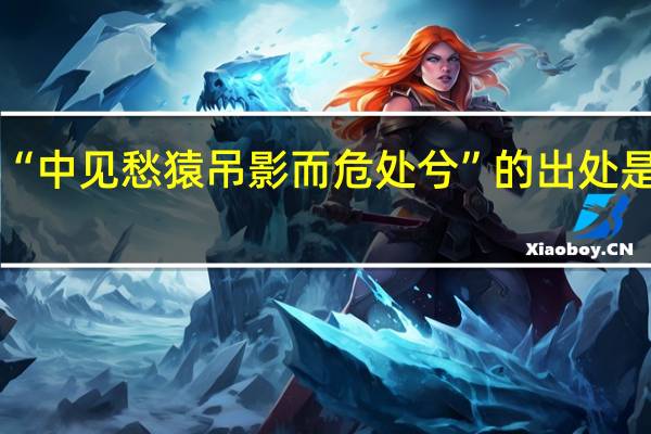 “中见愁猿吊影而危处兮”的出处是哪里