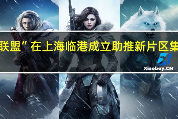 “临芯生态圈联盟”在上海临港成立 助推新片区集成电路产业链升级