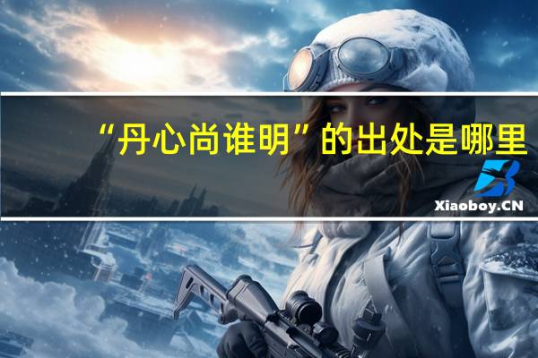 “丹心尚谁明”的出处是哪里