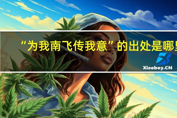 “为我南飞传我意”的出处是哪里