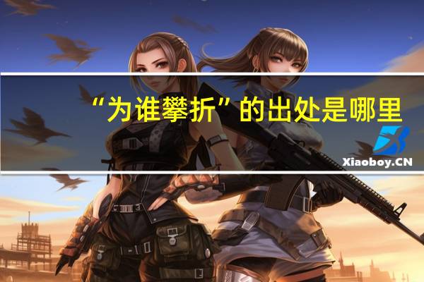 “为谁攀折”的出处是哪里