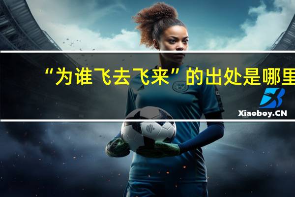 “为谁飞去飞来”的出处是哪里