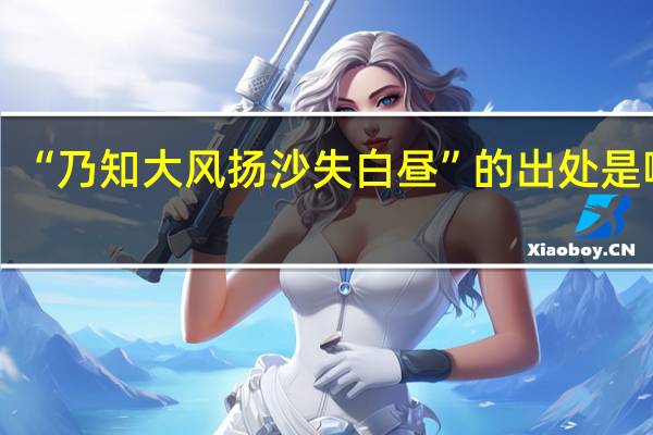 “乃知大风扬沙失白昼”的出处是哪里