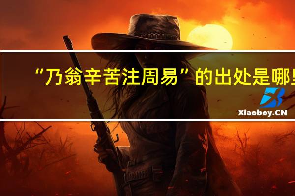 “乃翁辛苦注周易”的出处是哪里