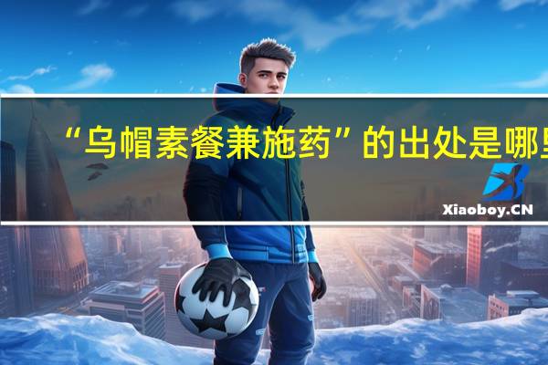 “乌帽素餐兼施药”的出处是哪里