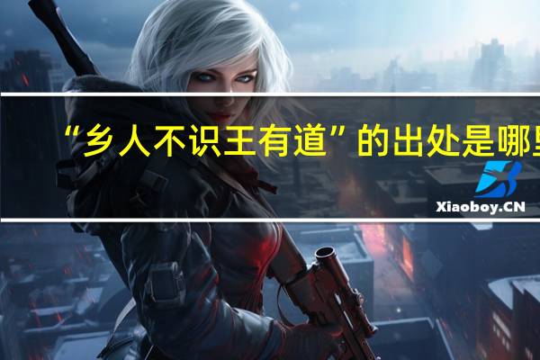 “乡人不识王有道”的出处是哪里