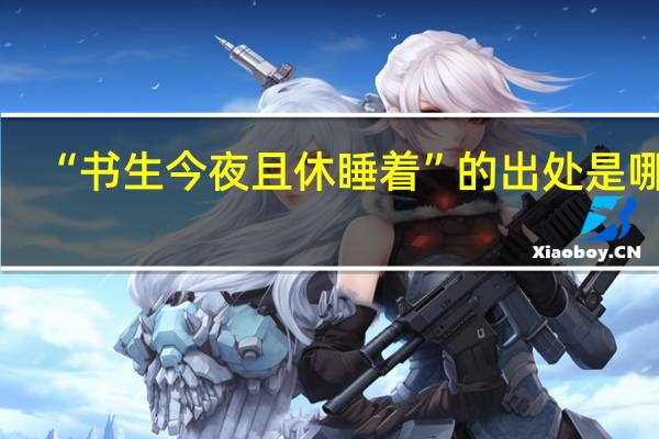 “书生今夜且休睡着”的出处是哪里