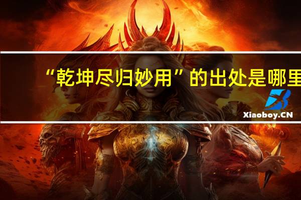 “乾坤尽归妙用”的出处是哪里