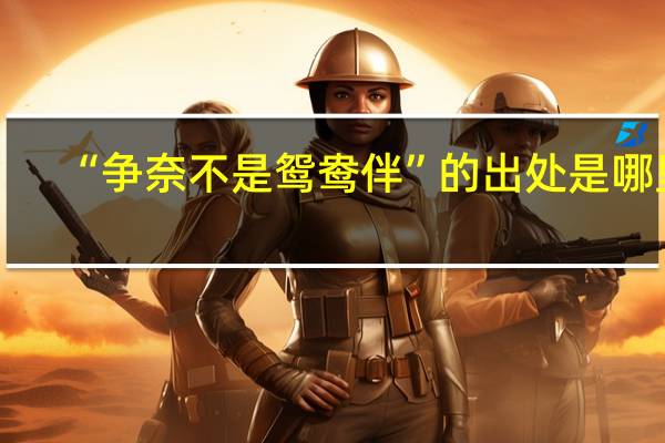 “争奈不是鸳鸯伴”的出处是哪里