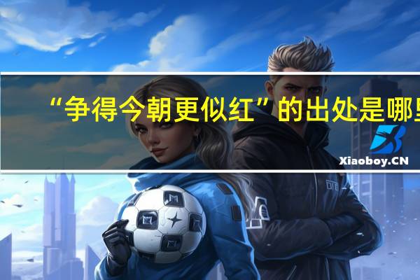 “争得今朝更似红”的出处是哪里