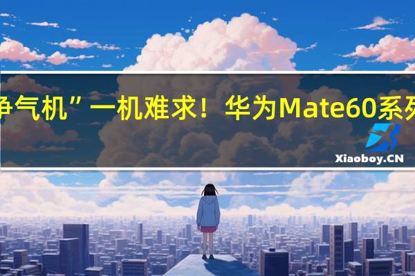 “争气机”一机难求！华为Mate 60系列卖断货：缺货或双11前后缓解