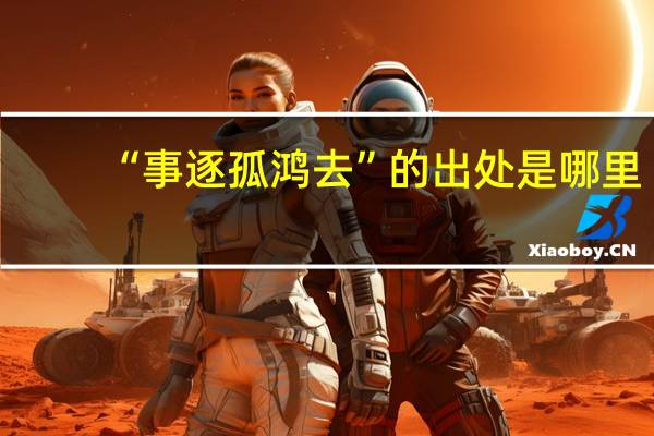 “事逐孤鸿去”的出处是哪里