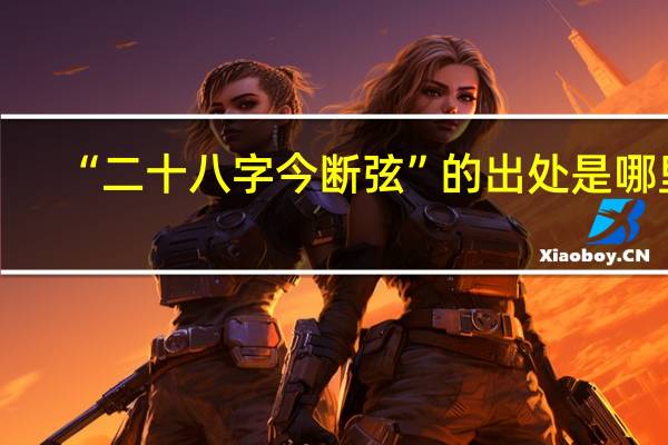 “二十八字今断弦”的出处是哪里