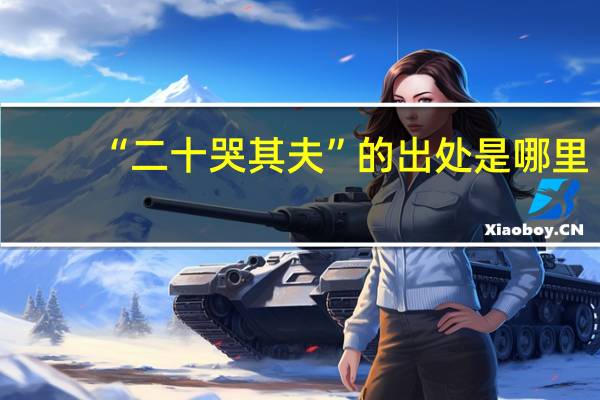 “二十哭其夫”的出处是哪里