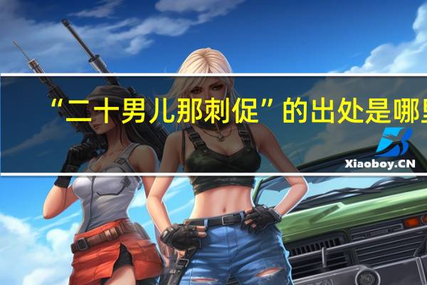 “二十男儿那刺促”的出处是哪里