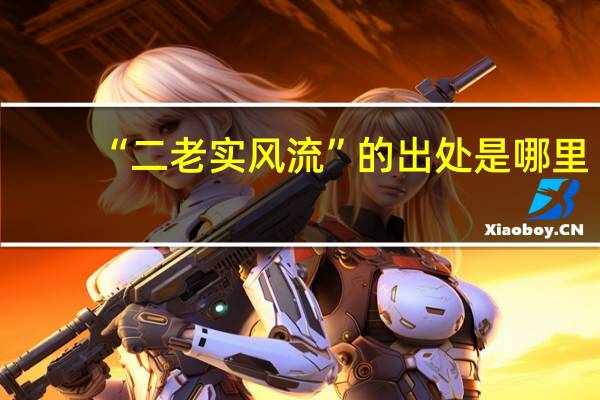 “二老实风流”的出处是哪里