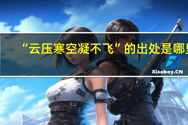 “云压寒空凝不飞”的出处是哪里