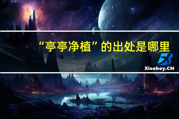 “亭亭净植”的出处是哪里