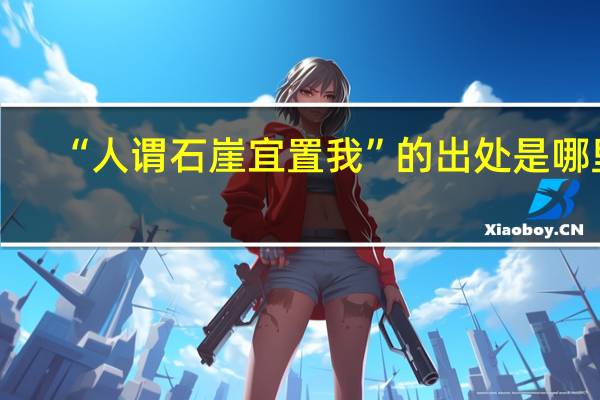 “人谓石崖宜置我”的出处是哪里