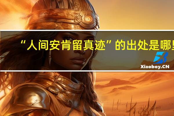 “人间安肯留真迹”的出处是哪里