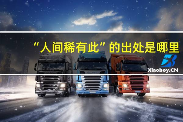 “人间稀有此”的出处是哪里