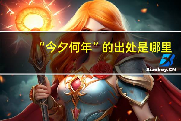 “今夕何年”的出处是哪里