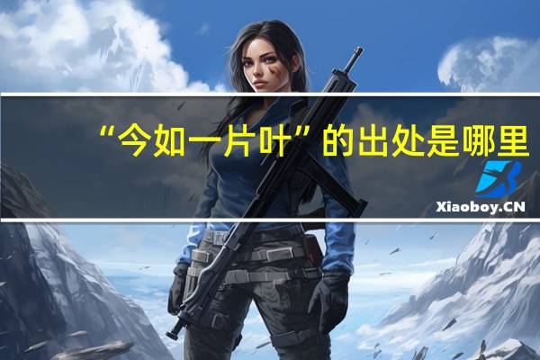 “今如一片叶”的出处是哪里