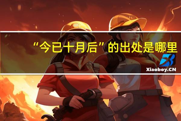 “今已十月后”的出处是哪里