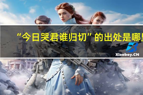 “今日哭君谁归切”的出处是哪里