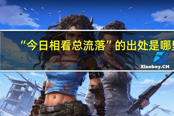 “今日相看总流落”的出处是哪里