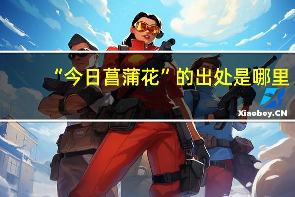 “今日菖蒲花”的出处是哪里