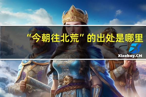 “今朝往北荒”的出处是哪里