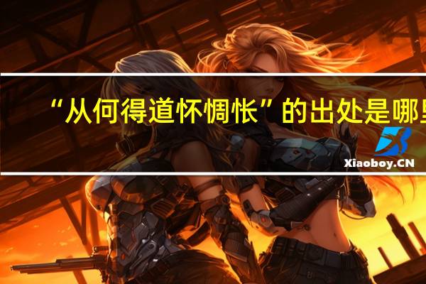 “从何得道怀惆怅”的出处是哪里