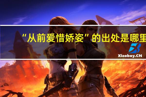 “从前爱惜娇姿”的出处是哪里