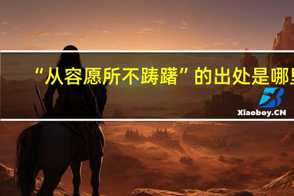 “从容愿所不踌躇”的出处是哪里