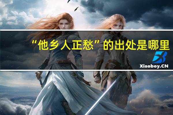 “他乡人正愁”的出处是哪里