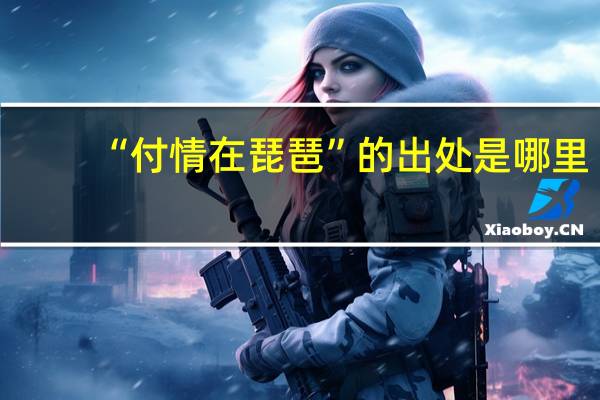 “付情在琵琶”的出处是哪里